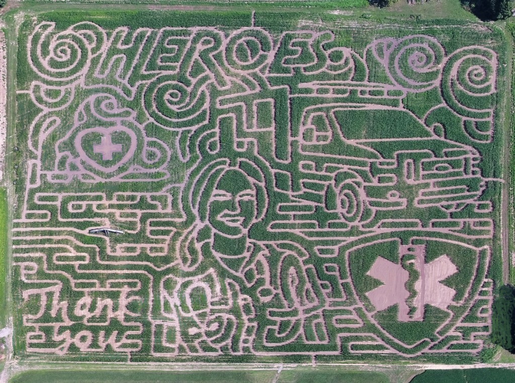 Corn Maze